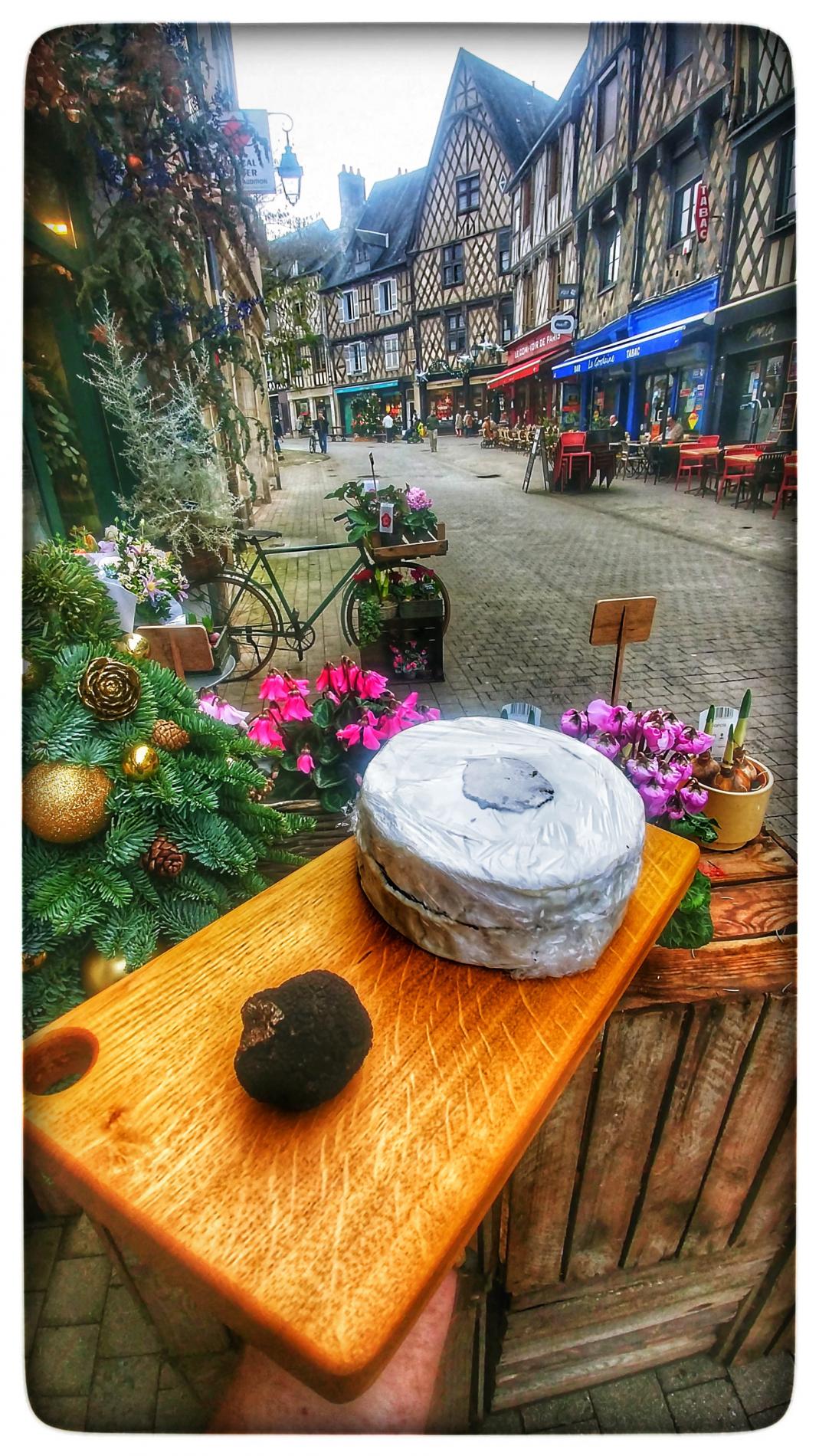 La saison des Truffes a d&eacute;but&eacute;